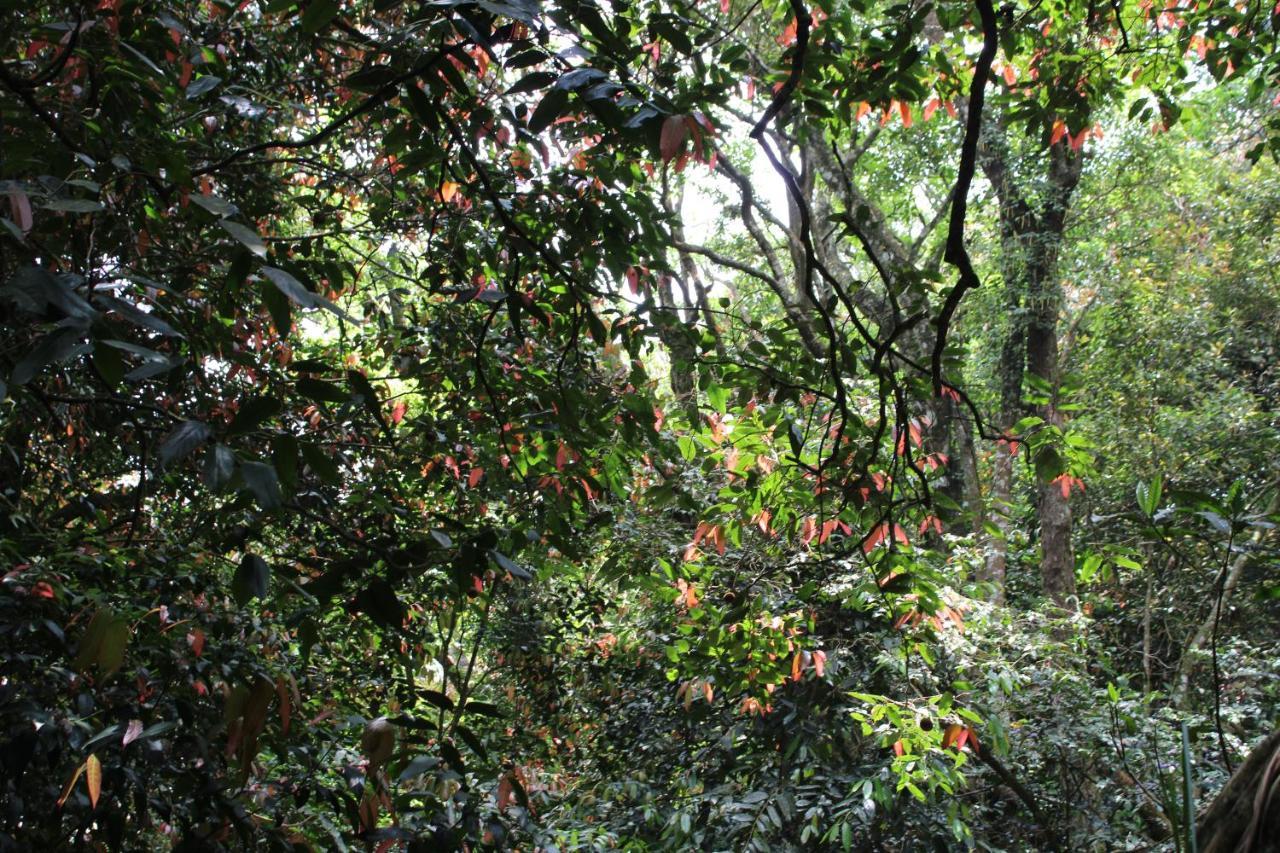 Hidden Heaven Hotel Coonoor Eksteriør billede